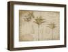 Tropical Encyclopedia-Andrea Haase-Framed Photographic Print