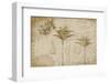 Tropical Encyclopedia-Andrea Haase-Framed Photographic Print