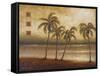 Tropical Escape I-Michael Marcon-Framed Stretched Canvas