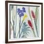 Tropical Exotics II-Alan Halliday-Framed Giclee Print