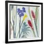 Tropical Exotics II-Alan Halliday-Framed Giclee Print