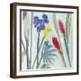 Tropical Exotics II-Alan Halliday-Framed Giclee Print