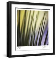 Tropical Fan 2-Ken Bremer-Framed Limited Edition