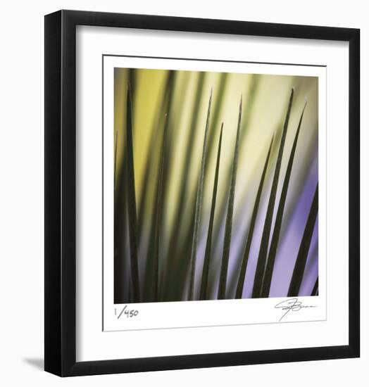 Tropical Fan 2-Ken Bremer-Framed Limited Edition