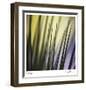 Tropical Fan 2-Ken Bremer-Framed Limited Edition