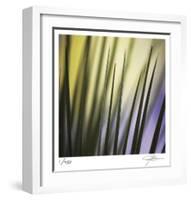 Tropical Fan 2-Ken Bremer-Framed Limited Edition