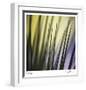 Tropical Fan 2-Ken Bremer-Framed Limited Edition