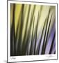 Tropical Fan 2-Ken Bremer-Mounted Limited Edition