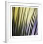 Tropical Fan 2-Ken Bremer-Framed Limited Edition