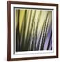 Tropical Fan 2-Ken Bremer-Framed Limited Edition