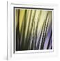 Tropical Fan 2-Ken Bremer-Framed Limited Edition