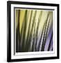 Tropical Fan 2-Ken Bremer-Framed Limited Edition