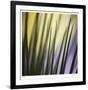 Tropical Fan 2-Ken Bremer-Framed Limited Edition