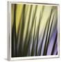 Tropical Fan 2-Ken Bremer-Framed Limited Edition