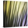 Tropical Fan 2-Ken Bremer-Stretched Canvas