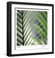 Tropical Fan-Ken Bremer-Framed Limited Edition