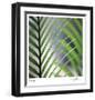 Tropical Fan-Ken Bremer-Framed Limited Edition