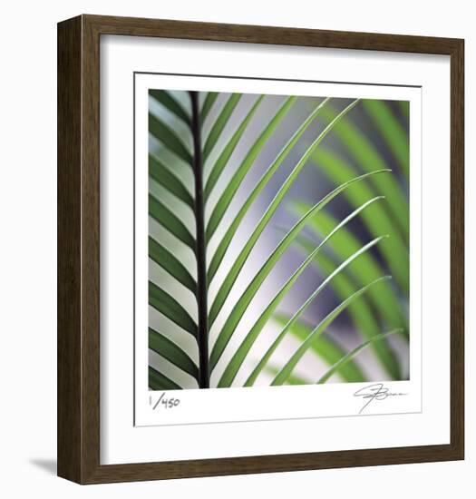 Tropical Fan-Ken Bremer-Framed Limited Edition