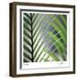 Tropical Fan-Ken Bremer-Framed Limited Edition