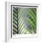 Tropical Fan-Ken Bremer-Framed Limited Edition