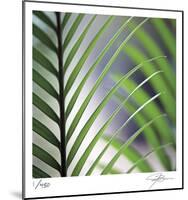 Tropical Fan-Ken Bremer-Mounted Limited Edition