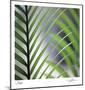 Tropical Fan-Ken Bremer-Mounted Limited Edition