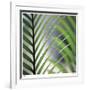 Tropical Fan-Ken Bremer-Framed Limited Edition