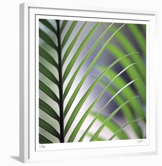 Tropical Fan-Ken Bremer-Framed Limited Edition