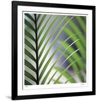 Tropical Fan-Ken Bremer-Framed Limited Edition