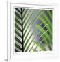 Tropical Fan-Ken Bremer-Framed Limited Edition