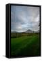 Tropical Farmland Near Ijen Crater in East Java-Alex Saberi-Framed Stretched Canvas