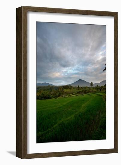 Tropical Farmland Near Ijen Crater in East Java-Alex Saberi-Framed Photographic Print