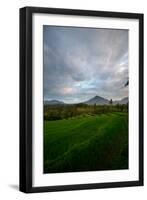 Tropical Farmland Near Ijen Crater in East Java-Alex Saberi-Framed Photographic Print