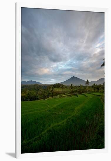 Tropical Farmland Near Ijen Crater in East Java-Alex Saberi-Framed Photographic Print