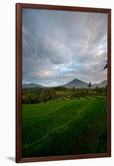 Tropical Farmland Near Ijen Crater in East Java-Alex Saberi-Framed Photographic Print