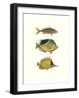 Tropical Fish I-Georges Cuvier-Framed Premium Giclee Print