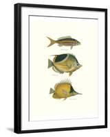 Tropical Fish I-Georges Cuvier-Framed Premium Giclee Print