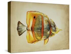 Tropical Fish I-Sydney Edmunds-Stretched Canvas