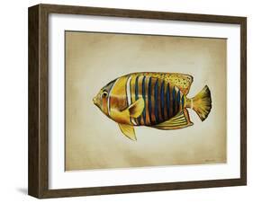 Tropical Fish II-Sydney Edmunds-Framed Giclee Print