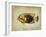 Tropical Fish II-Sydney Edmunds-Framed Giclee Print