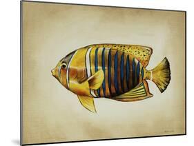 Tropical Fish II-Sydney Edmunds-Mounted Giclee Print