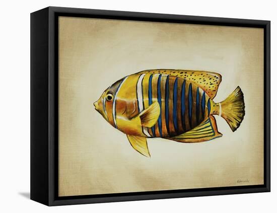 Tropical Fish II-Sydney Edmunds-Framed Stretched Canvas