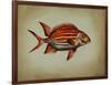Tropical Fish III-Sydney Edmunds-Framed Giclee Print
