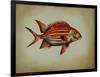 Tropical Fish III-Sydney Edmunds-Framed Giclee Print