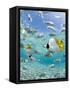 Tropical Fish in Bora-Bora Lagoon-Michele Westmorland-Framed Stretched Canvas