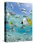 Tropical Fish in Bora-Bora Lagoon-Michele Westmorland-Stretched Canvas