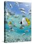 Tropical Fish in Bora-Bora Lagoon-Michele Westmorland-Stretched Canvas