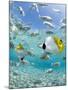 Tropical Fish in Bora-Bora Lagoon-Michele Westmorland-Mounted Premium Photographic Print