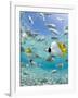 Tropical Fish in Bora-Bora Lagoon-Michele Westmorland-Framed Photographic Print