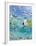 Tropical Fish in Bora-Bora Lagoon-Michele Westmorland-Framed Photographic Print